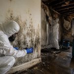 Environmental-Cleaning-Services